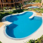Oasis