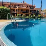 Oasis *