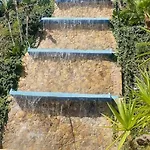 Oasis *